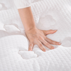 10-inch Memory Foam Pocketed Springs Mattress-Double